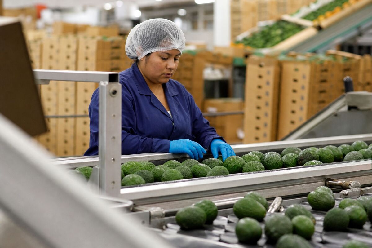 Mission Produce's Acquisition of Calavo Growers: A Game Changer in Fresh Produce
